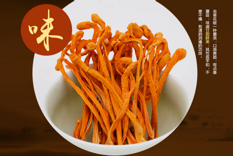 ростки кордицепса-1.png